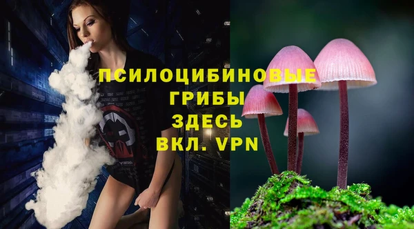 кристаллы Данков
