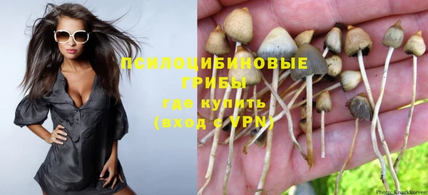 мефедрон Приозерск